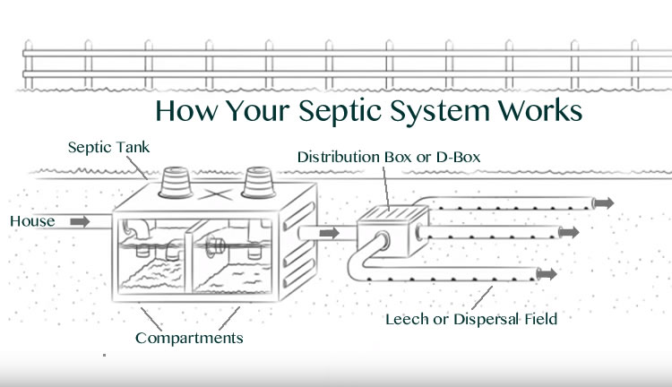 Diagram Showing How Your Septic System Works